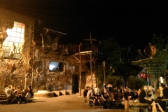 IMAG0364_BURST017