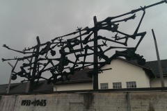 IMAG0371_BURST002