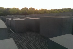 IMAG0390_BURST020