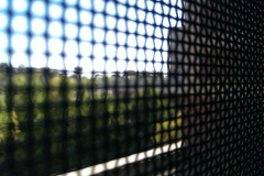 IMAG0469_BURST002