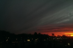 IMAG0904